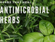 antimicrobial