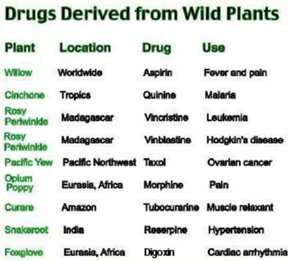 drug_derived_chart