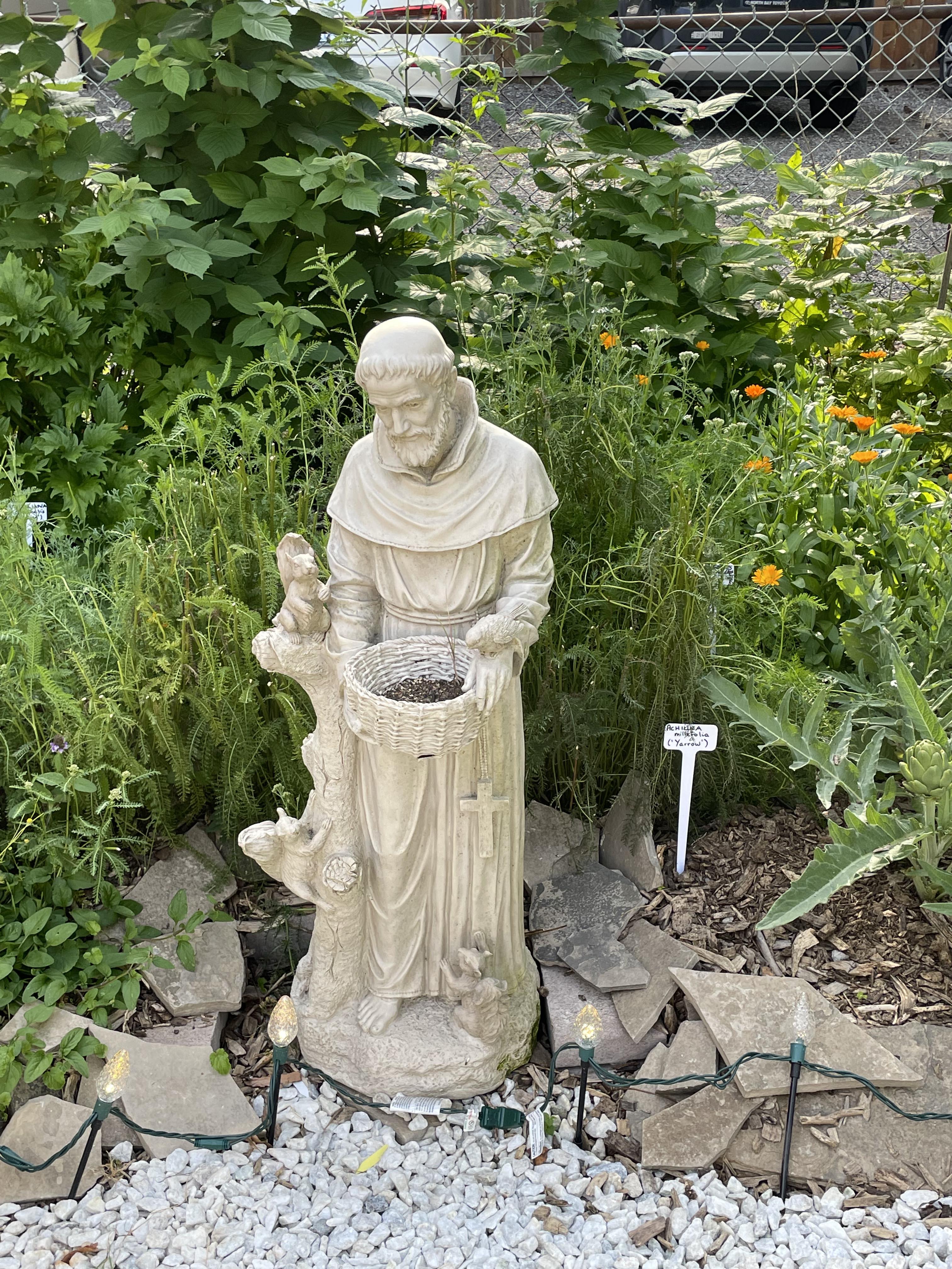st_francis