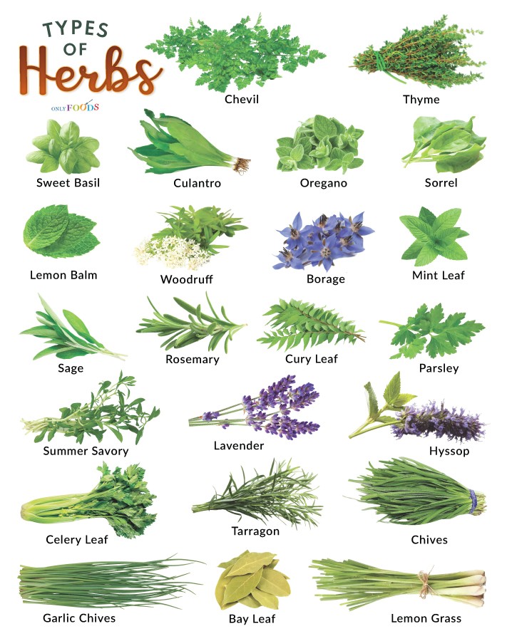herbs
